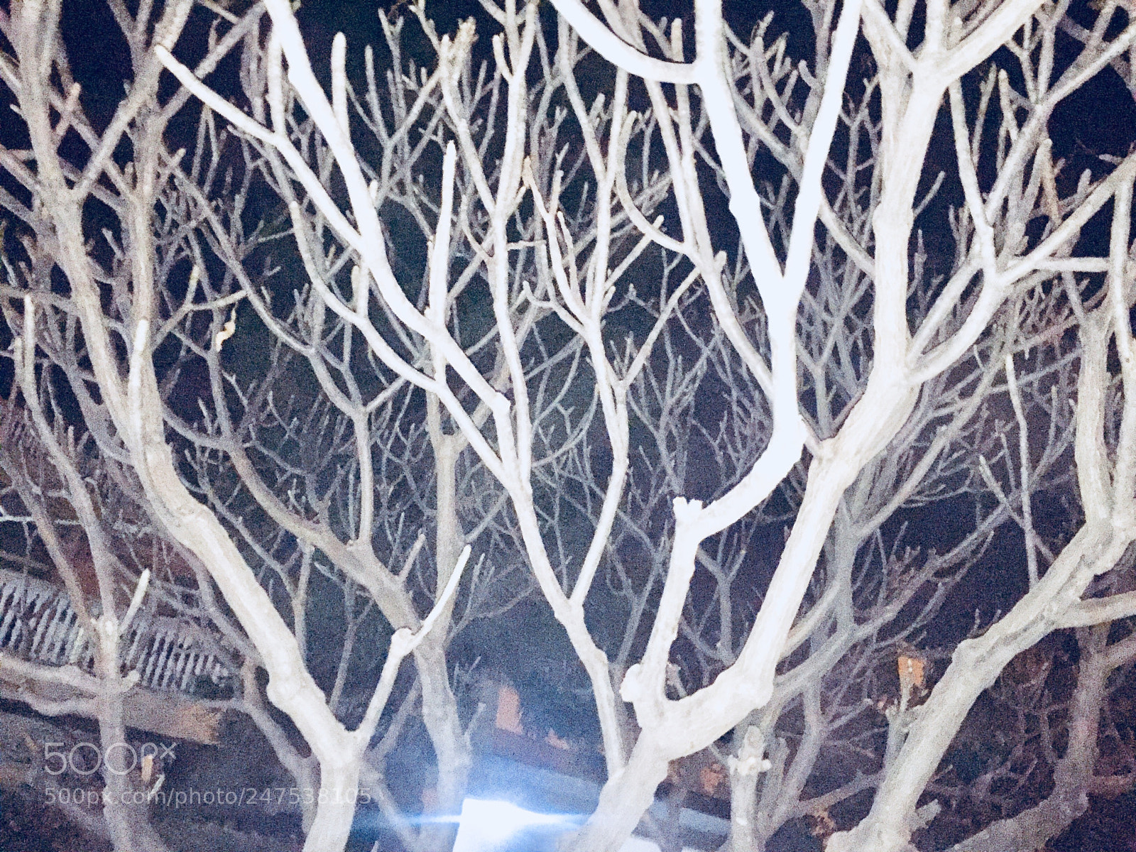 Apple iPhone 6 sample photo. Untitled photography