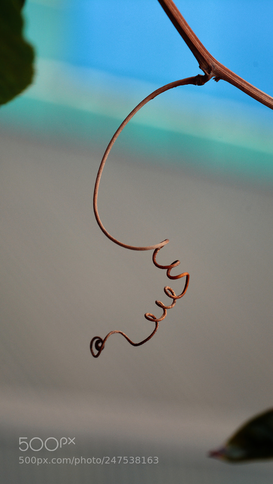 Nikon D7100 sample photo. Untitled photography