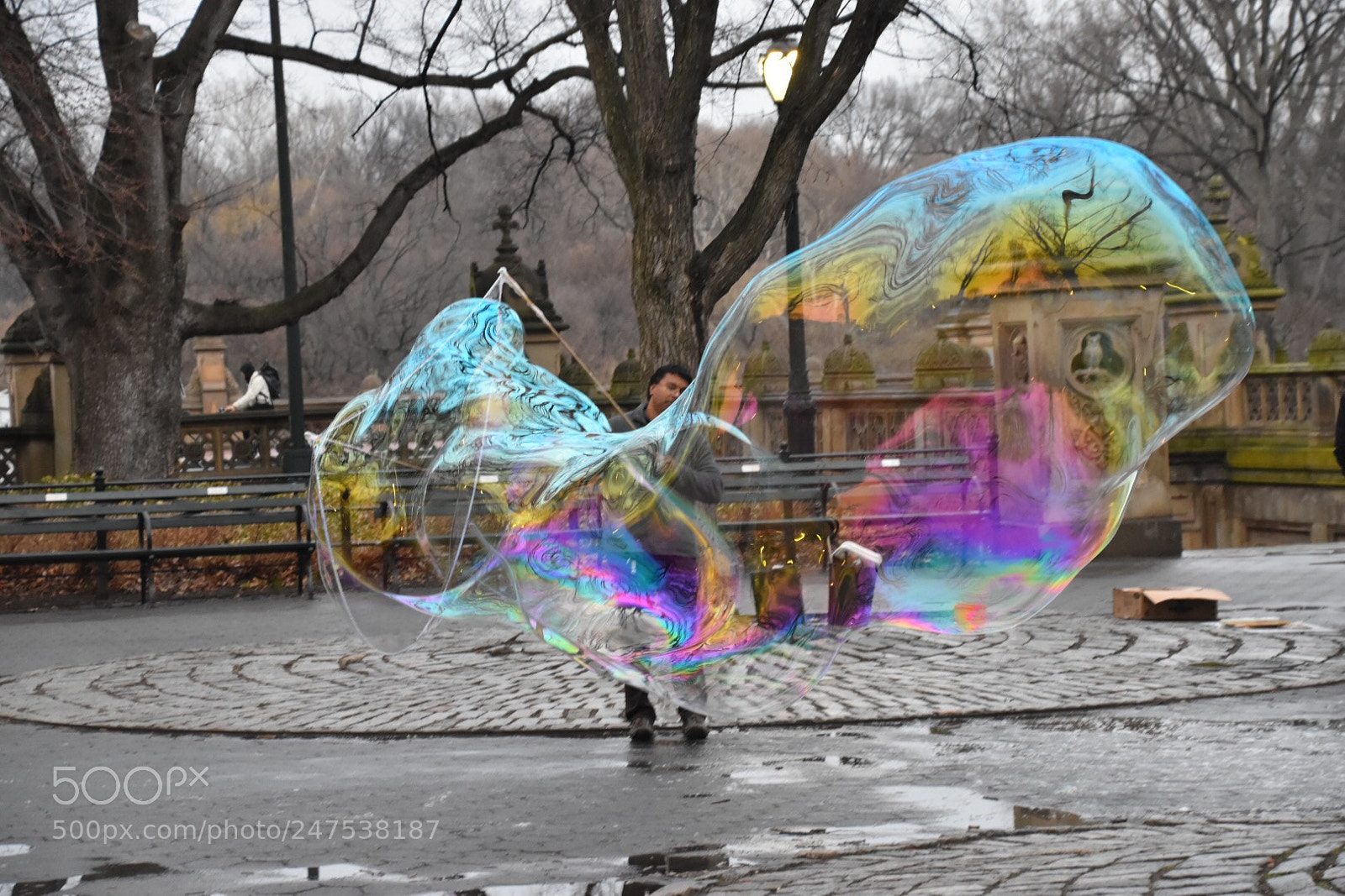 Nikon D5500 sample photo. Untitled photography