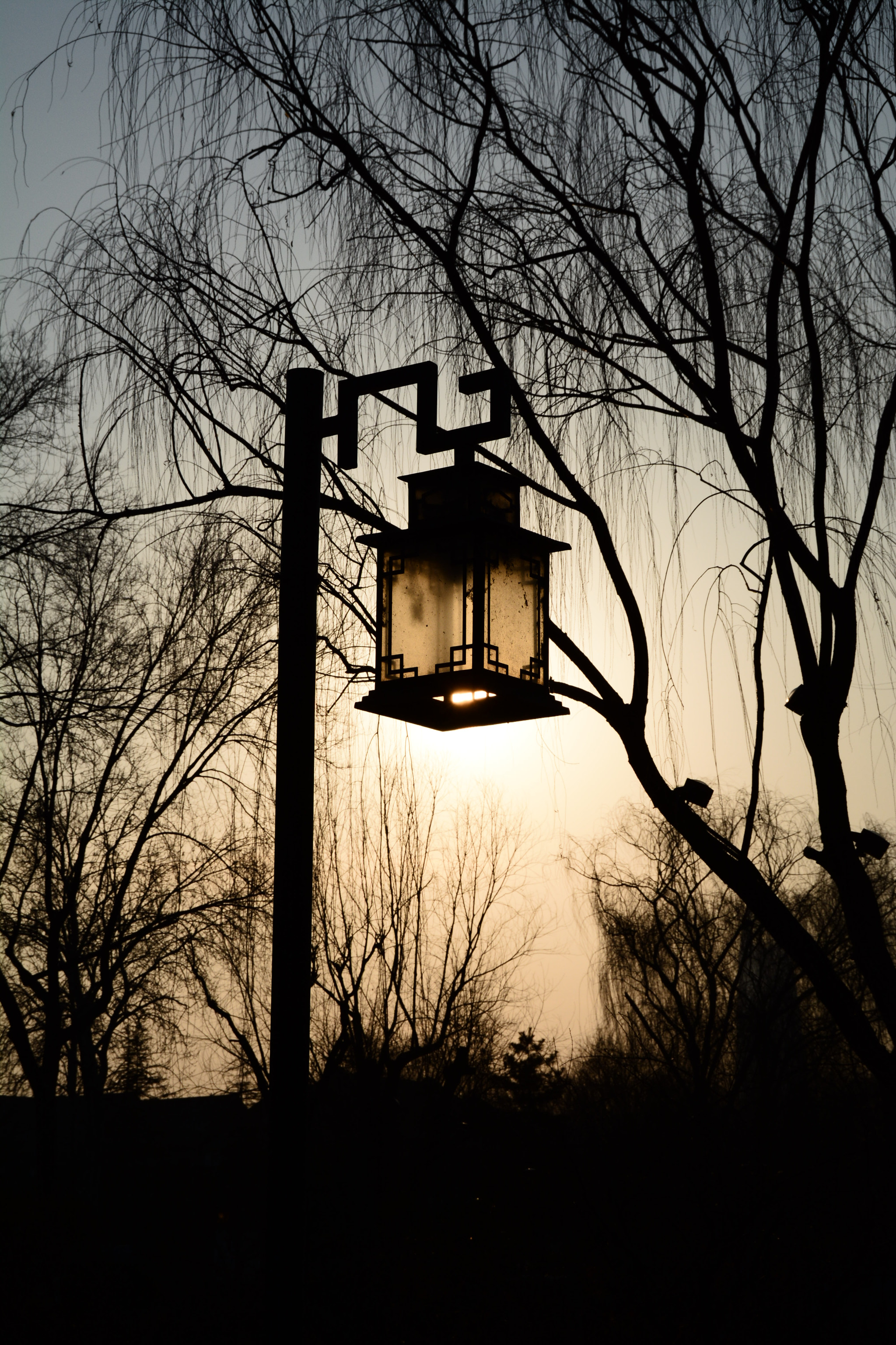 Nikon D7100 sample photo. Silhouette photography