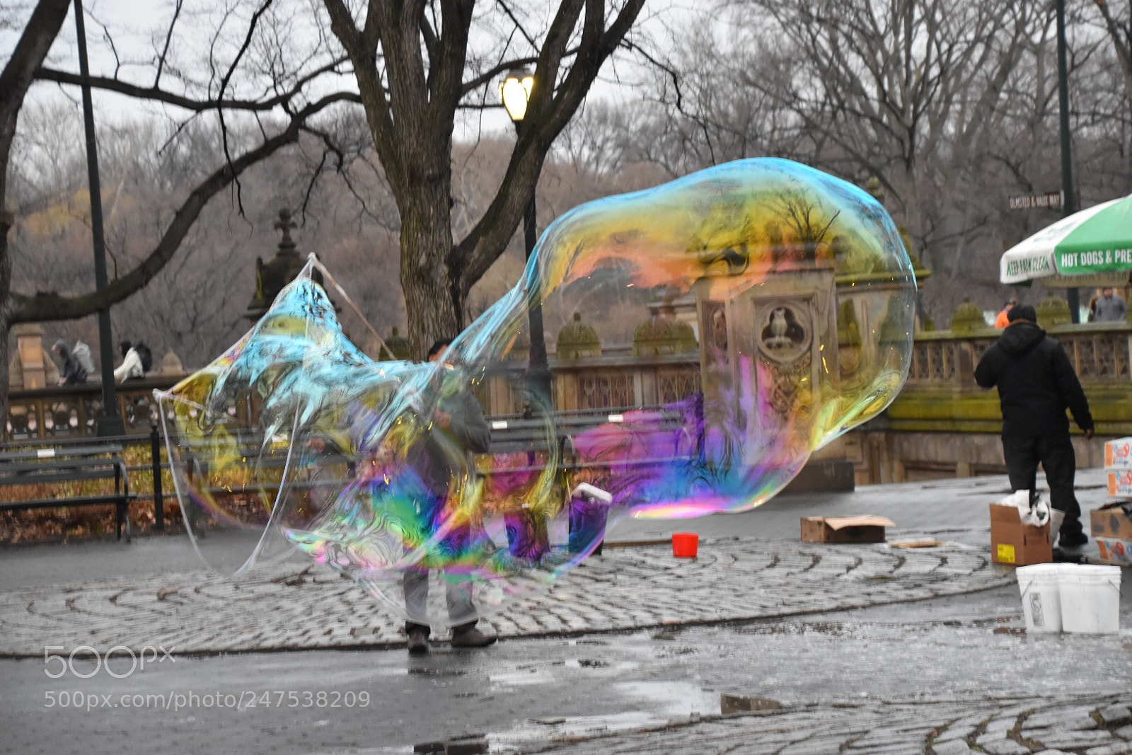 Nikon D5500 sample photo. Untitled photography