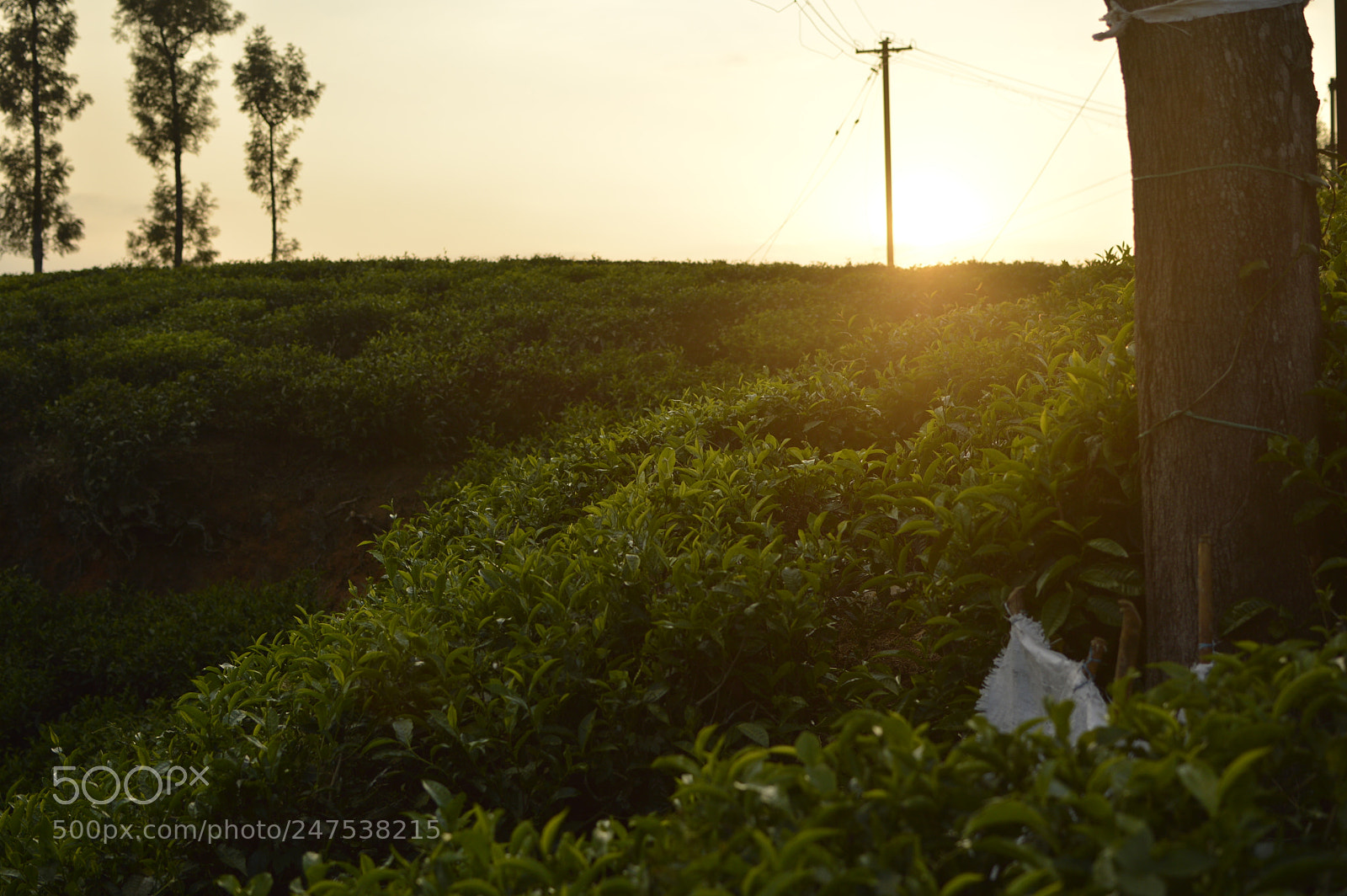Nikon D3200 + Nikon AF-S DX Nikkor 35mm F1.8G sample photo. An evening click from photography