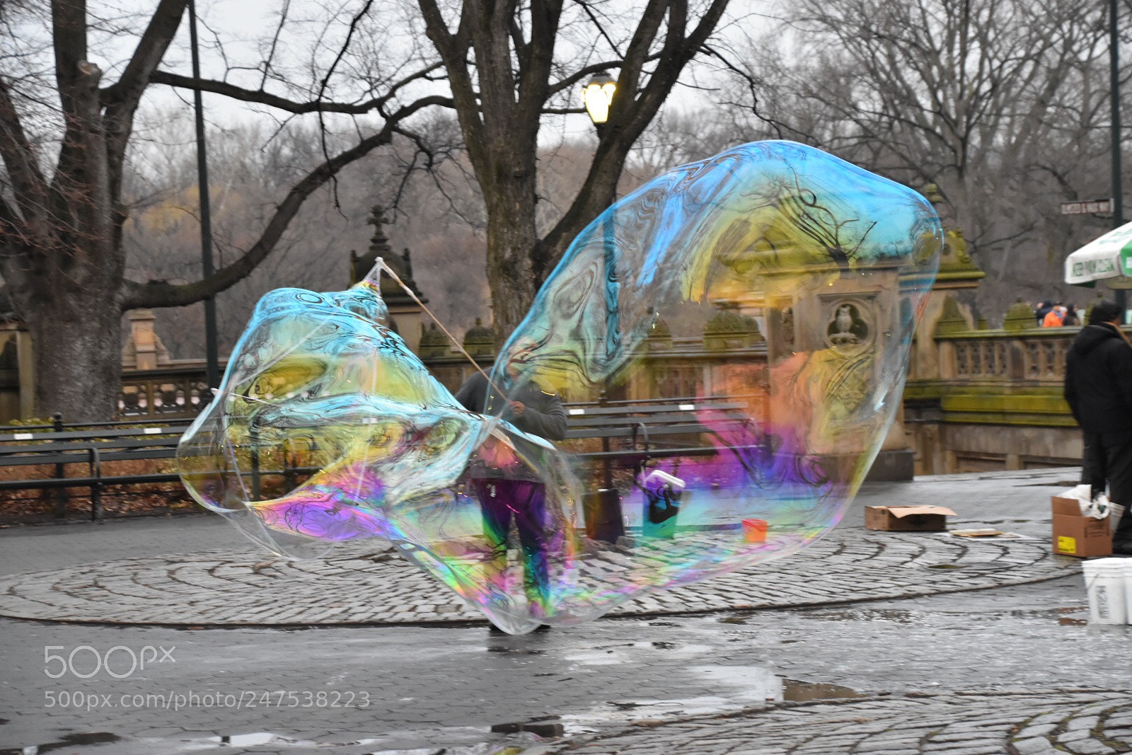 Nikon D5500 sample photo. Untitled photography