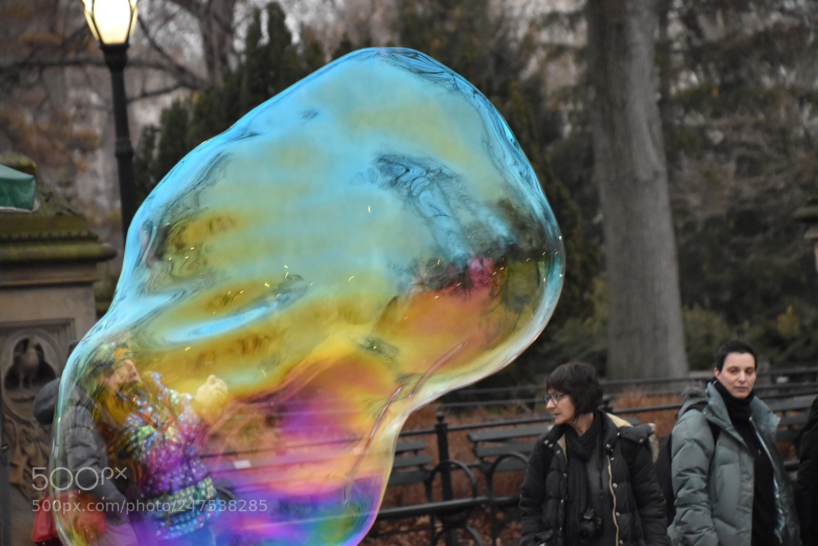 Nikon D5500 sample photo. Untitled photography