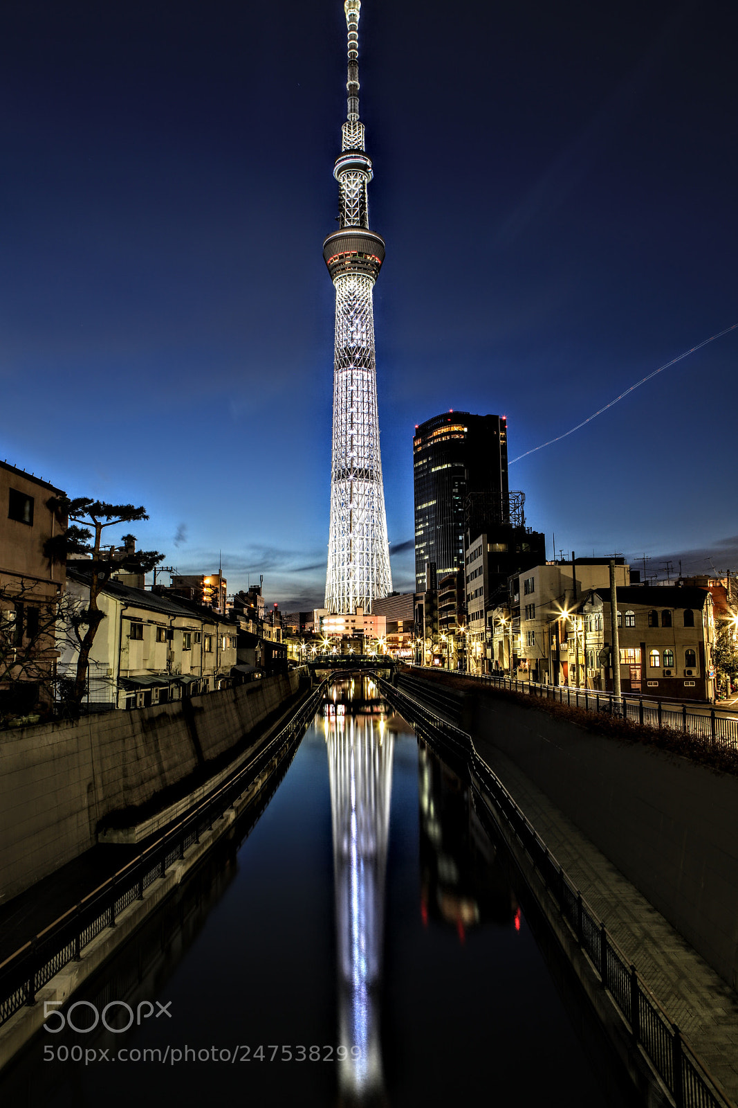 Canon EOS 5DS R sample photo. Tokyo sky tree photography