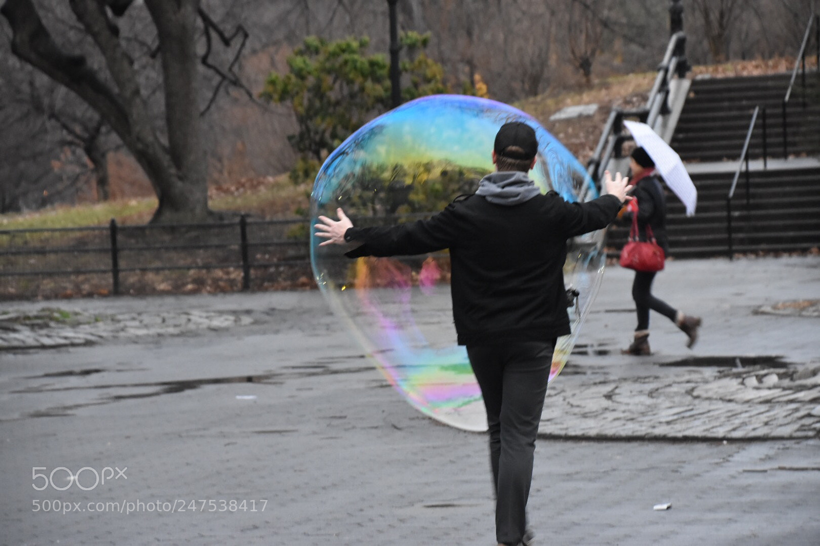 Nikon D5500 sample photo. Untitled photography