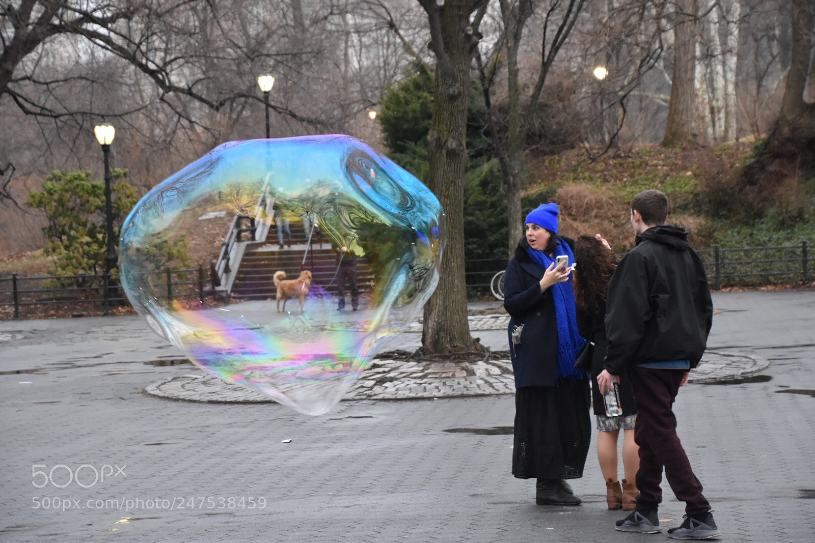 Nikon D5500 sample photo. Untitled photography