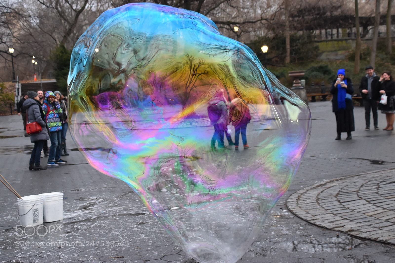 Nikon D5500 sample photo. Untitled photography
