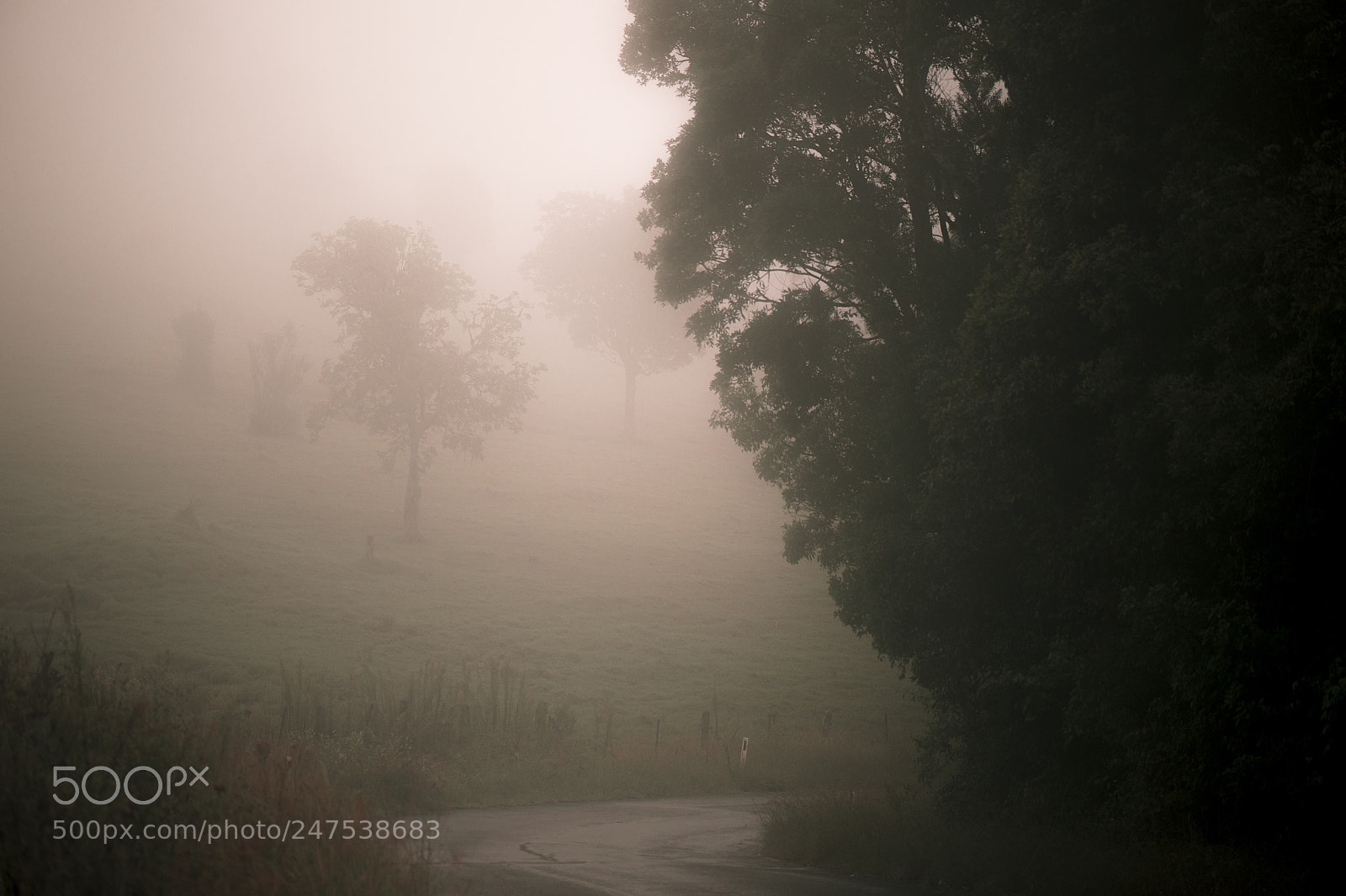Nikon D800 sample photo. Moody hazy road in photography