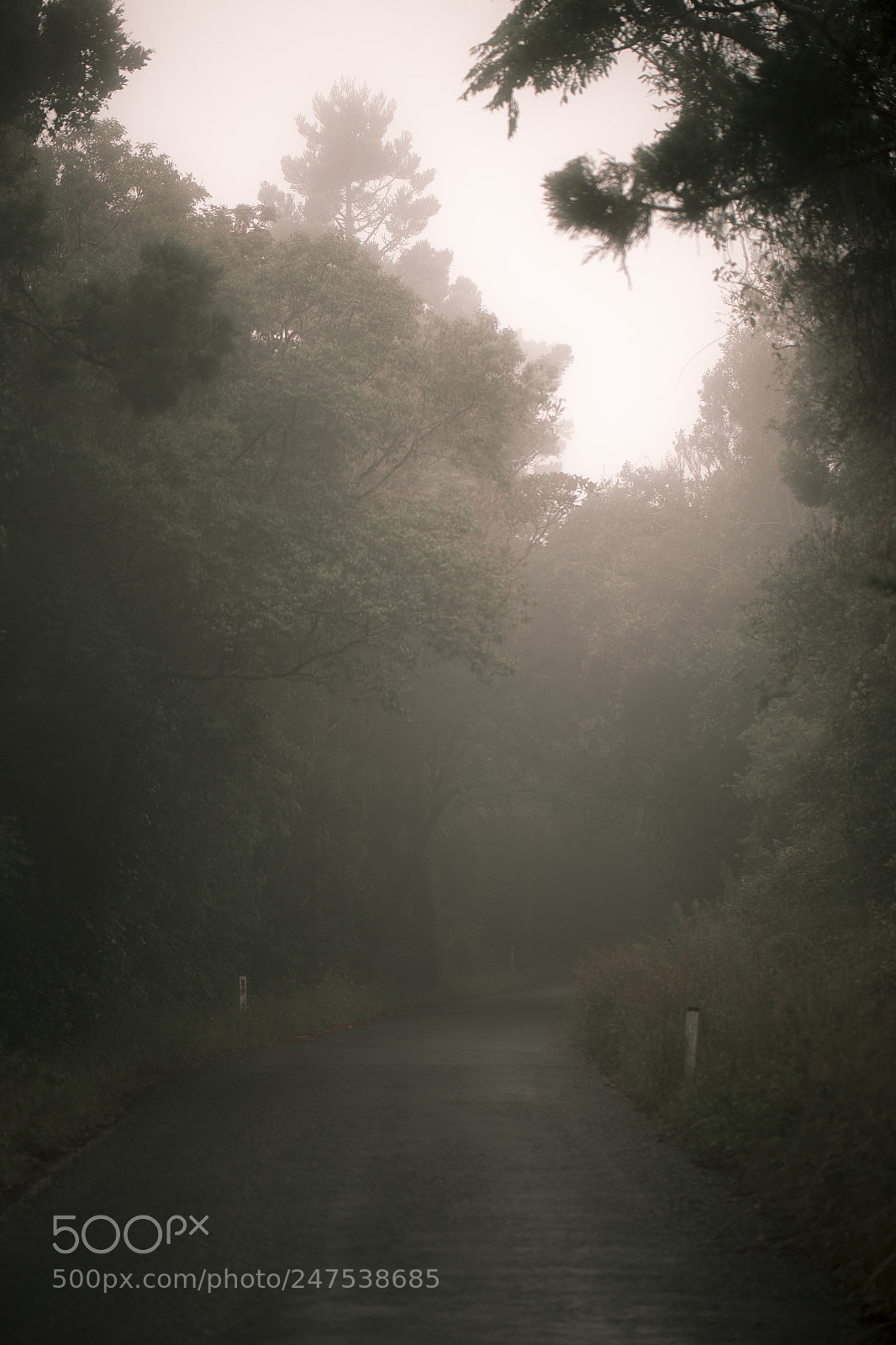 Nikon D800 sample photo. Moody hazy road in photography
