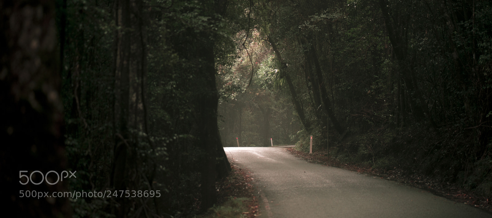 Nikon D800 sample photo. Moody hazy road in photography