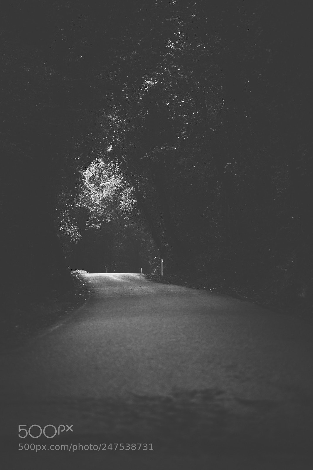 Nikon D800 sample photo. Moody hazy road in photography