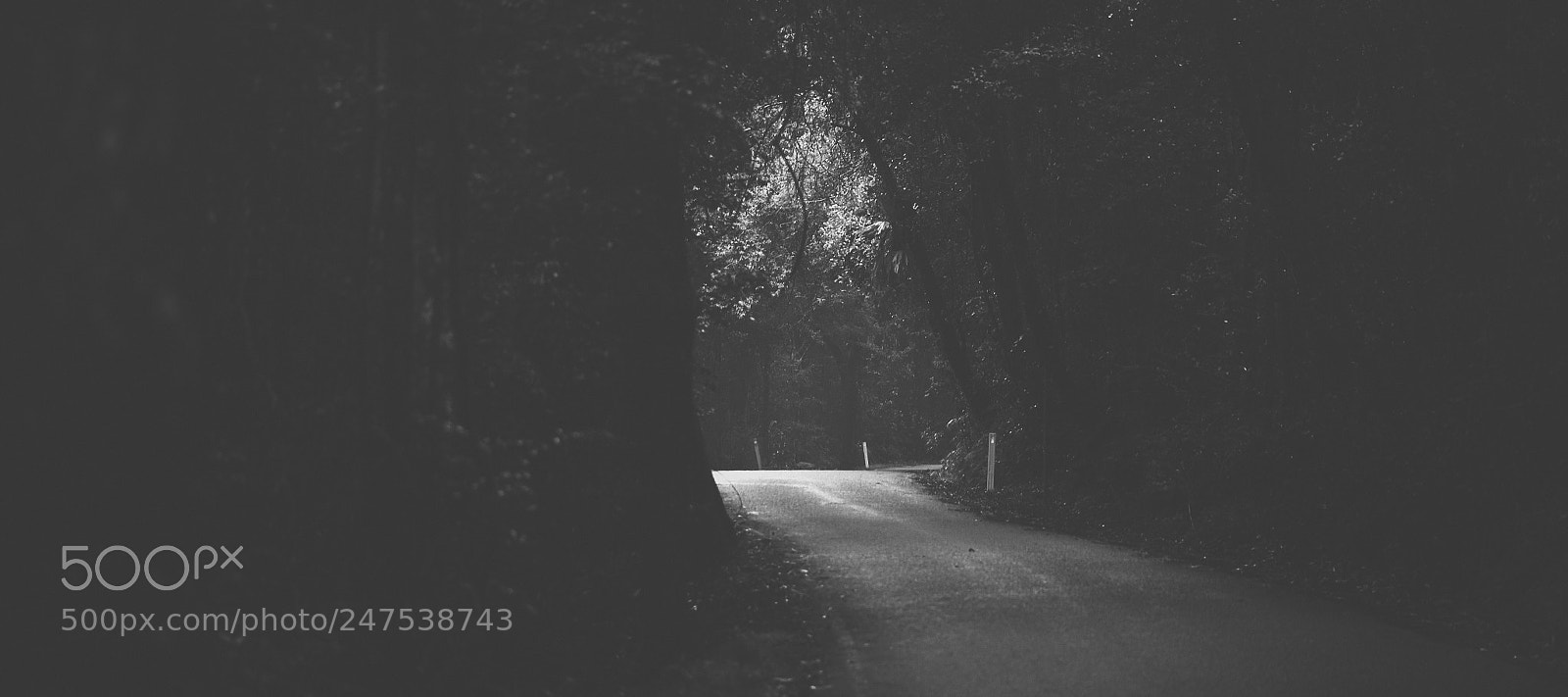 Nikon D800 sample photo. Moody hazy road in photography