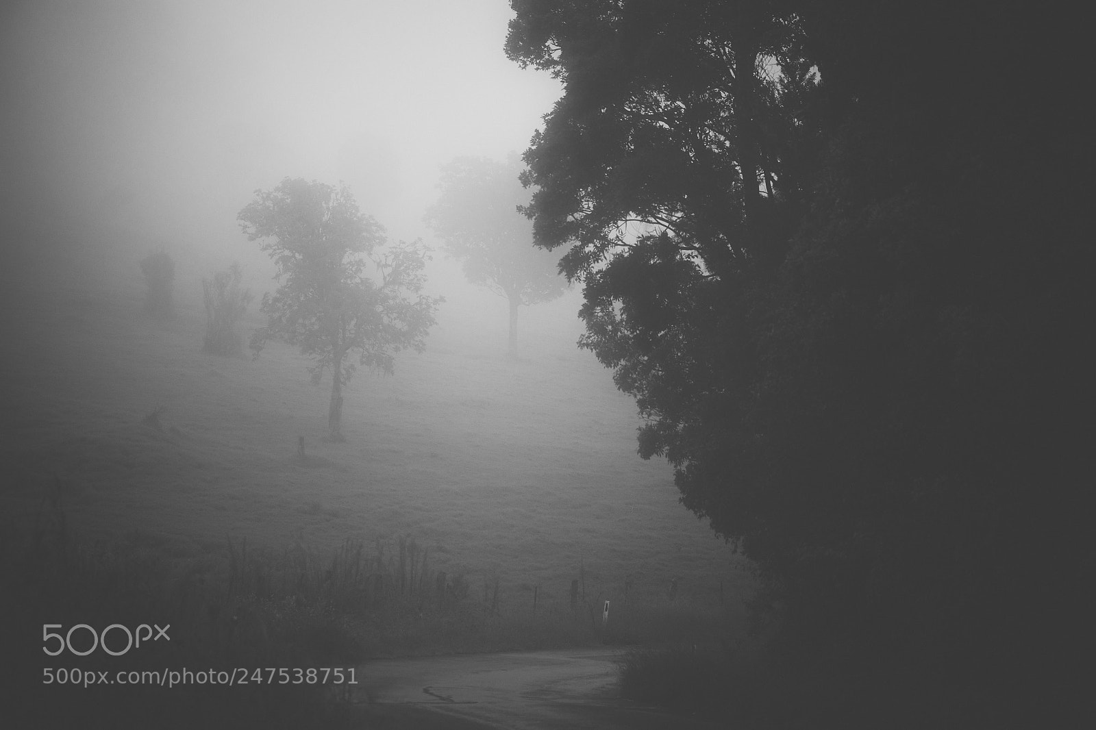 Nikon D800 sample photo. Moody hazy road in photography