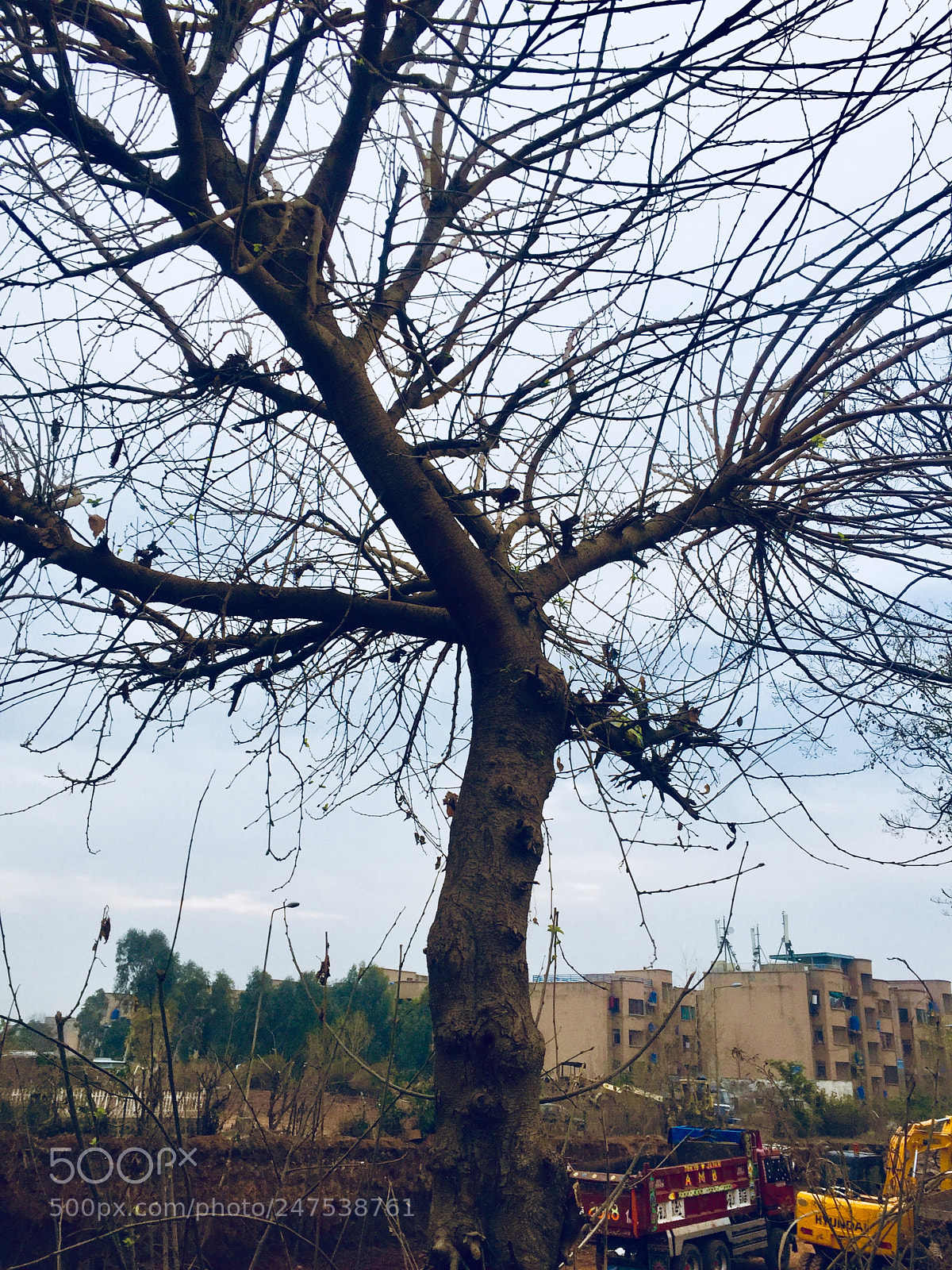 Apple iPhone 6 sample photo. Untitled photography