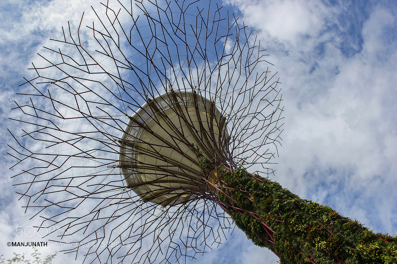 Canon EOS 550D (EOS Rebel T2i / EOS Kiss X4) sample photo. Gardens by the bay photography