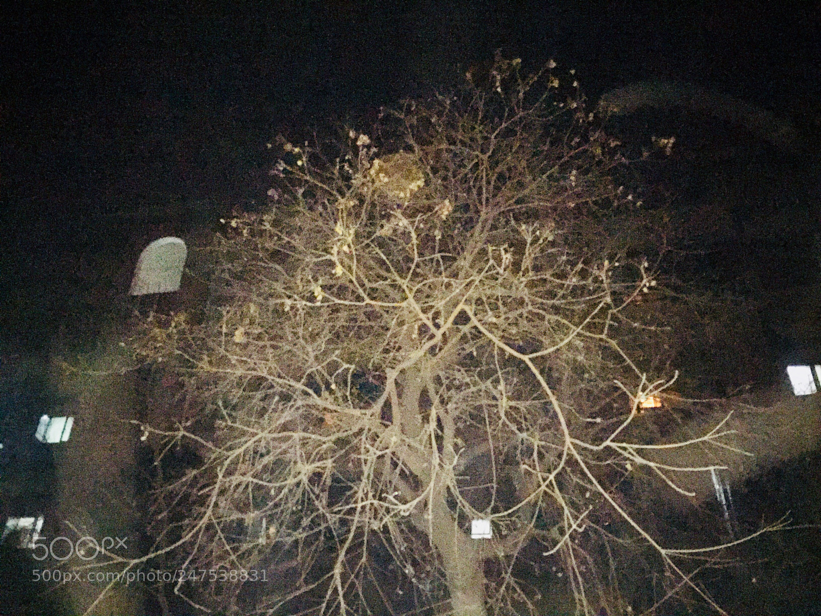 Apple iPhone 6 sample photo. Untitled photography