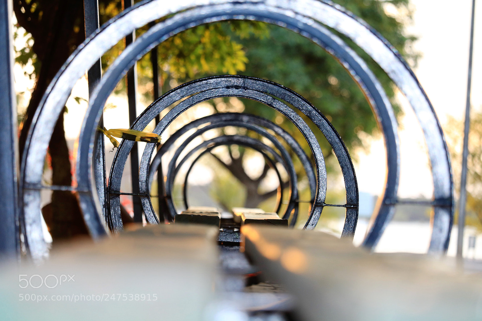 Canon EOS 750D (EOS Rebel T6i / EOS Kiss X8i) sample photo. Img photography