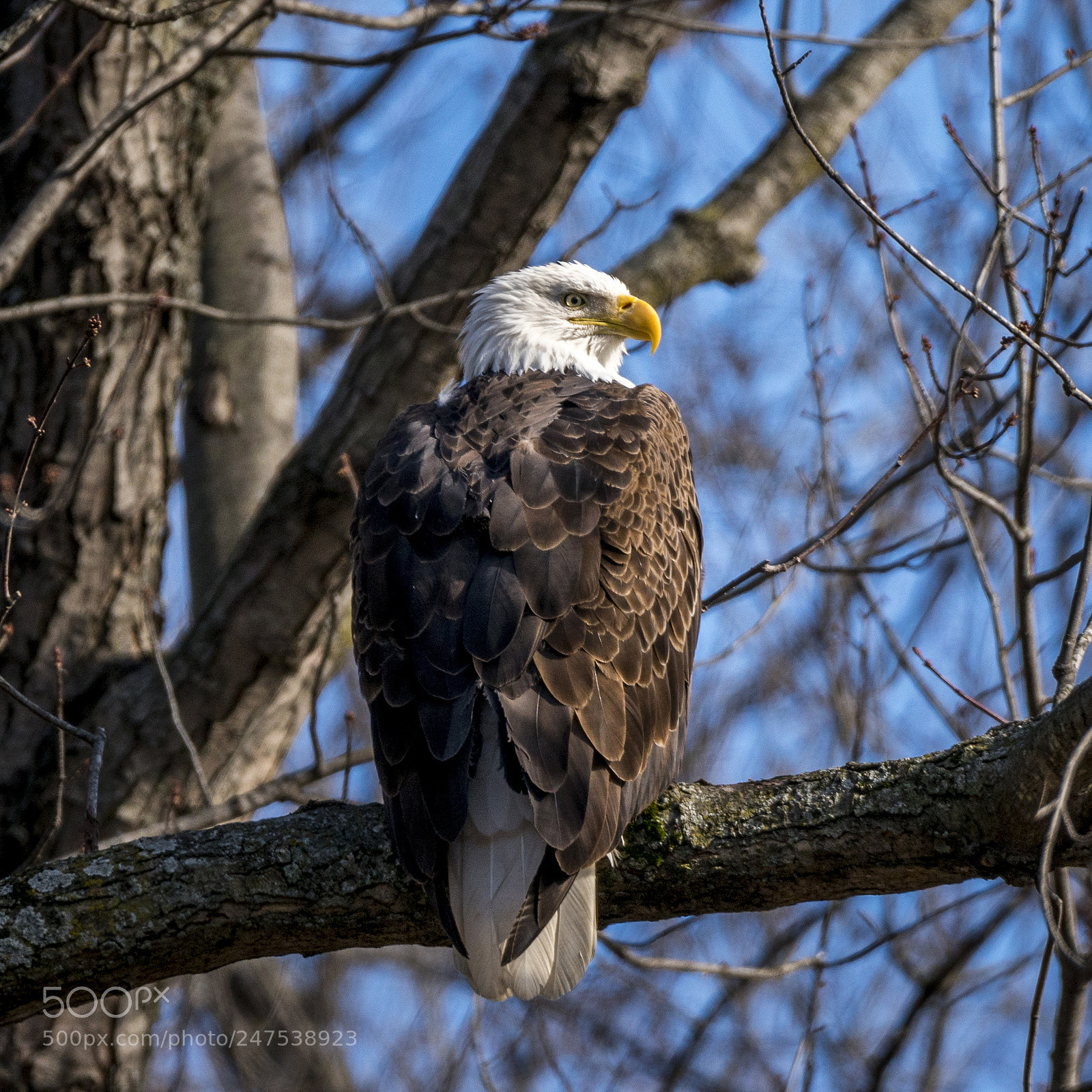 Sony a7R II sample photo. I was truly blessed photography
