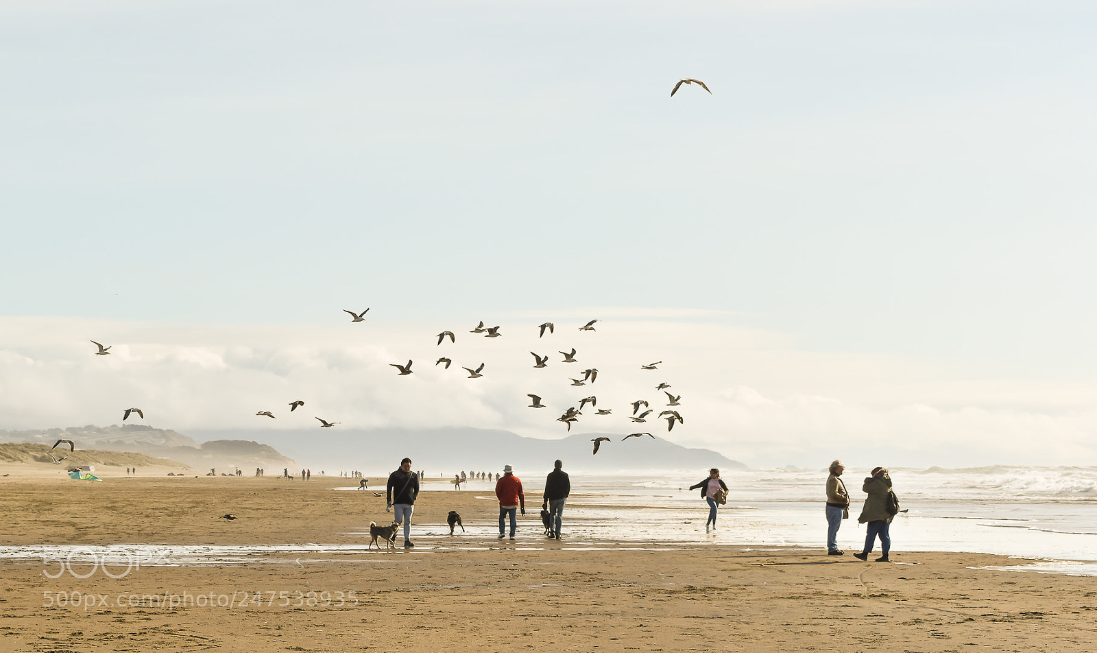 Nikon D5600 sample photo. Ocean beach, sf photography