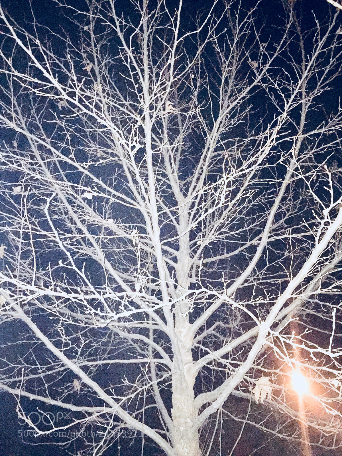 Apple iPhone 6 sample photo. Untitled photography