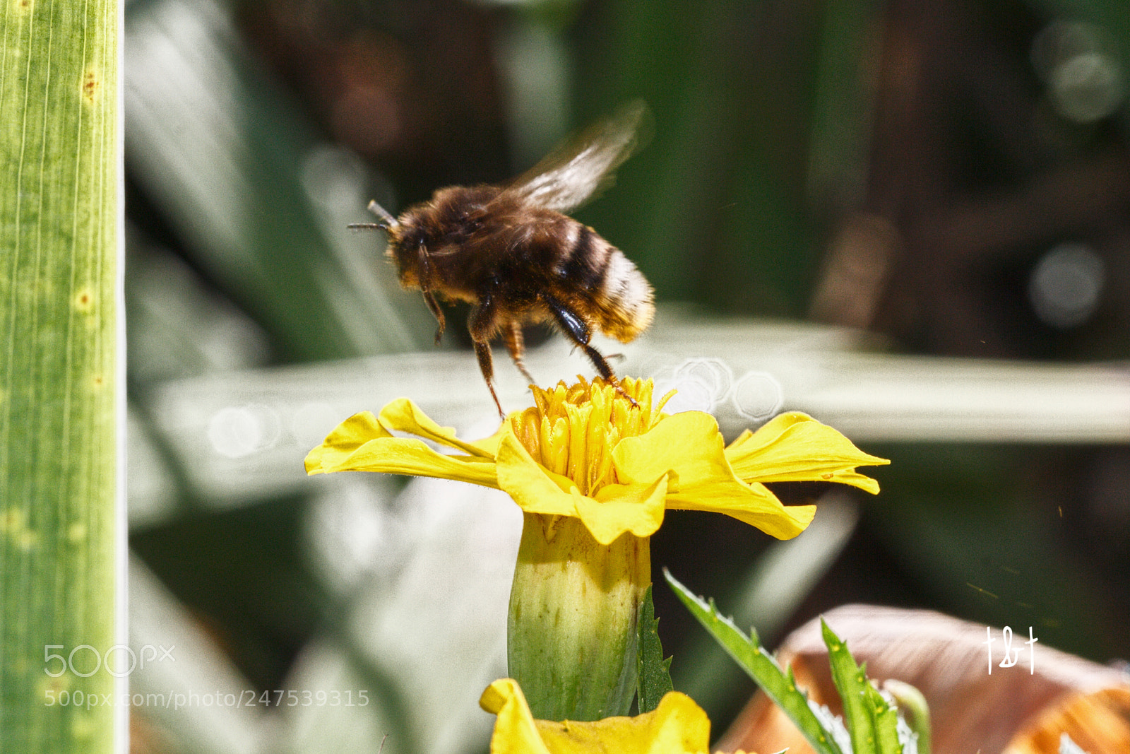 Canon EOS 7D sample photo. Untitled photography