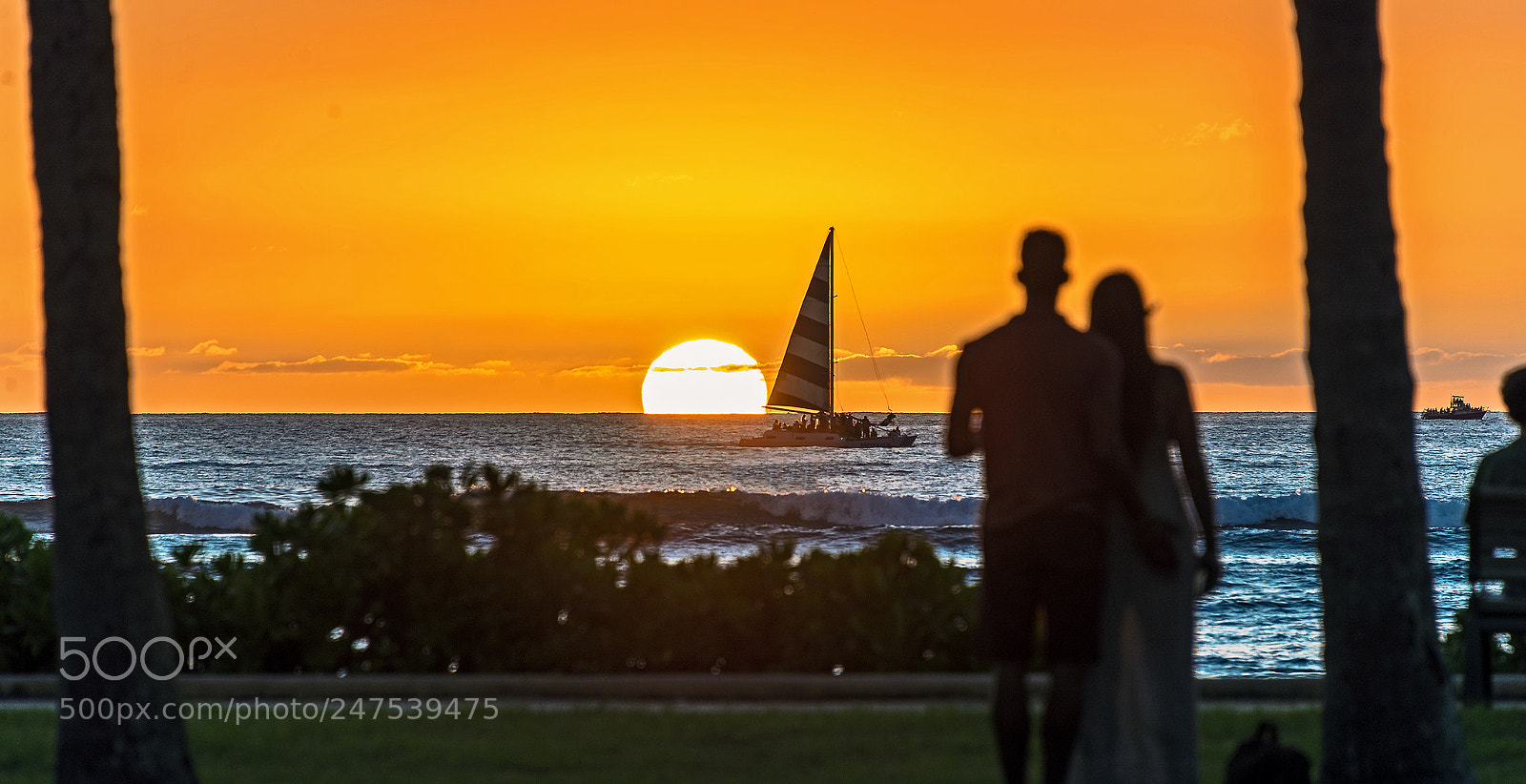 Nikon D610 sample photo. Sunset spectators photography