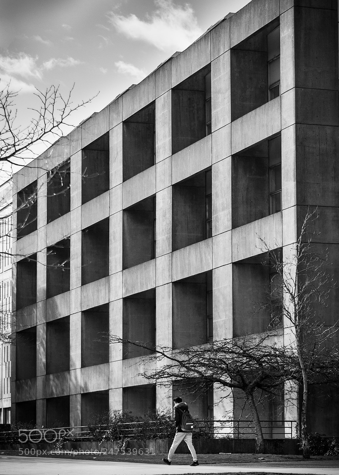 Nikon D3100 sample photo. Campus photography