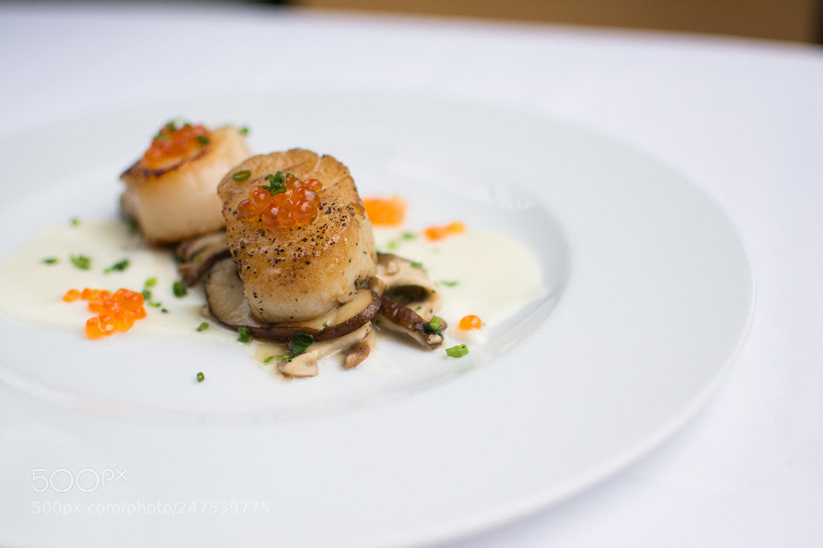 Nikon D7100 sample photo. Scallops photography