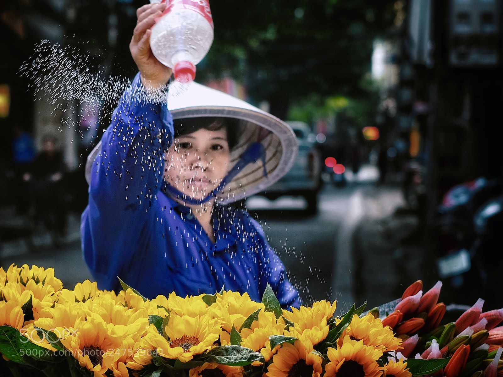 Fujifilm X-T2 sample photo. Untitled photography