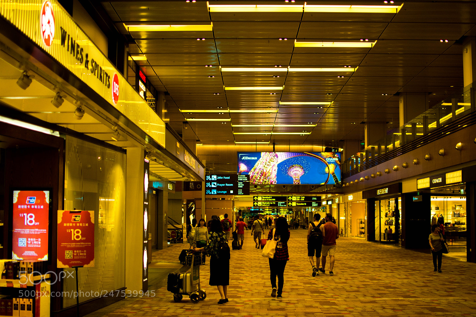 Nikon D5600 sample photo. Changi photography