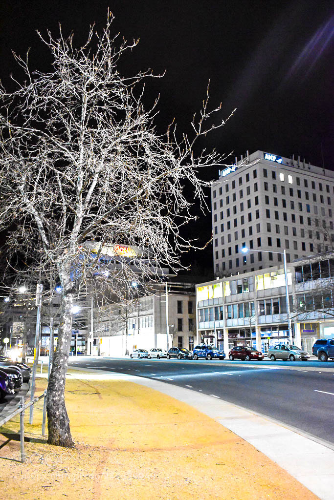 Nikon D5600 sample photo. Winter street life photography