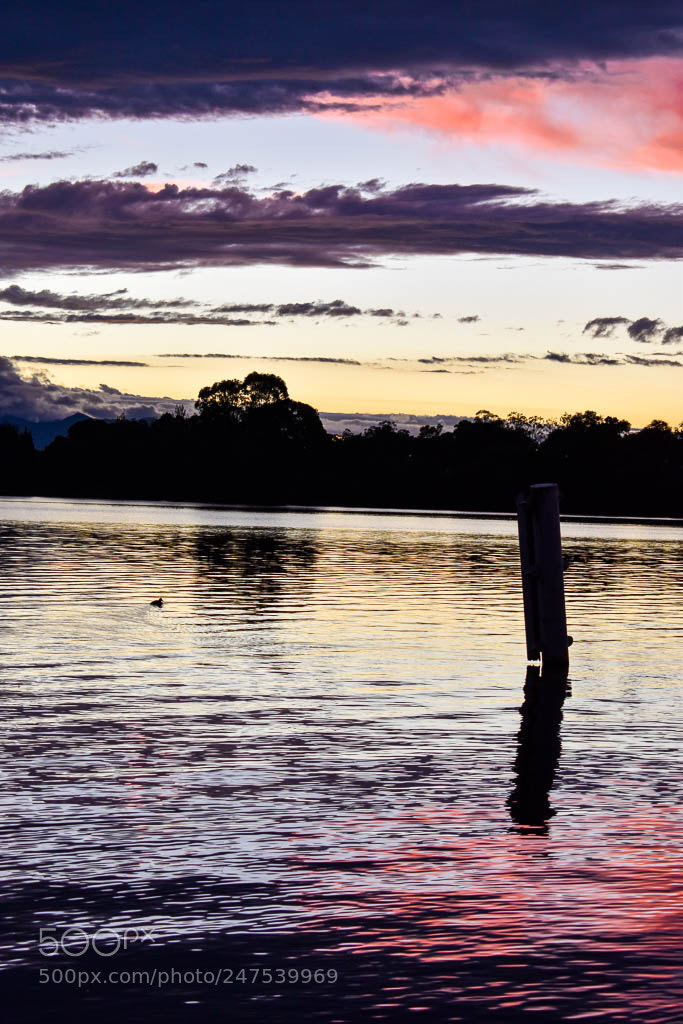 Nikon D5600 sample photo. Coloured sunset portrait photography