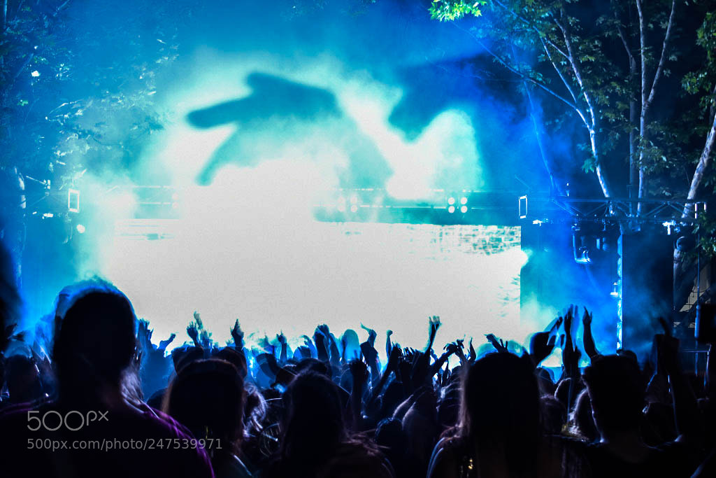Nikon D5600 sample photo. Syncing with the crowd photography