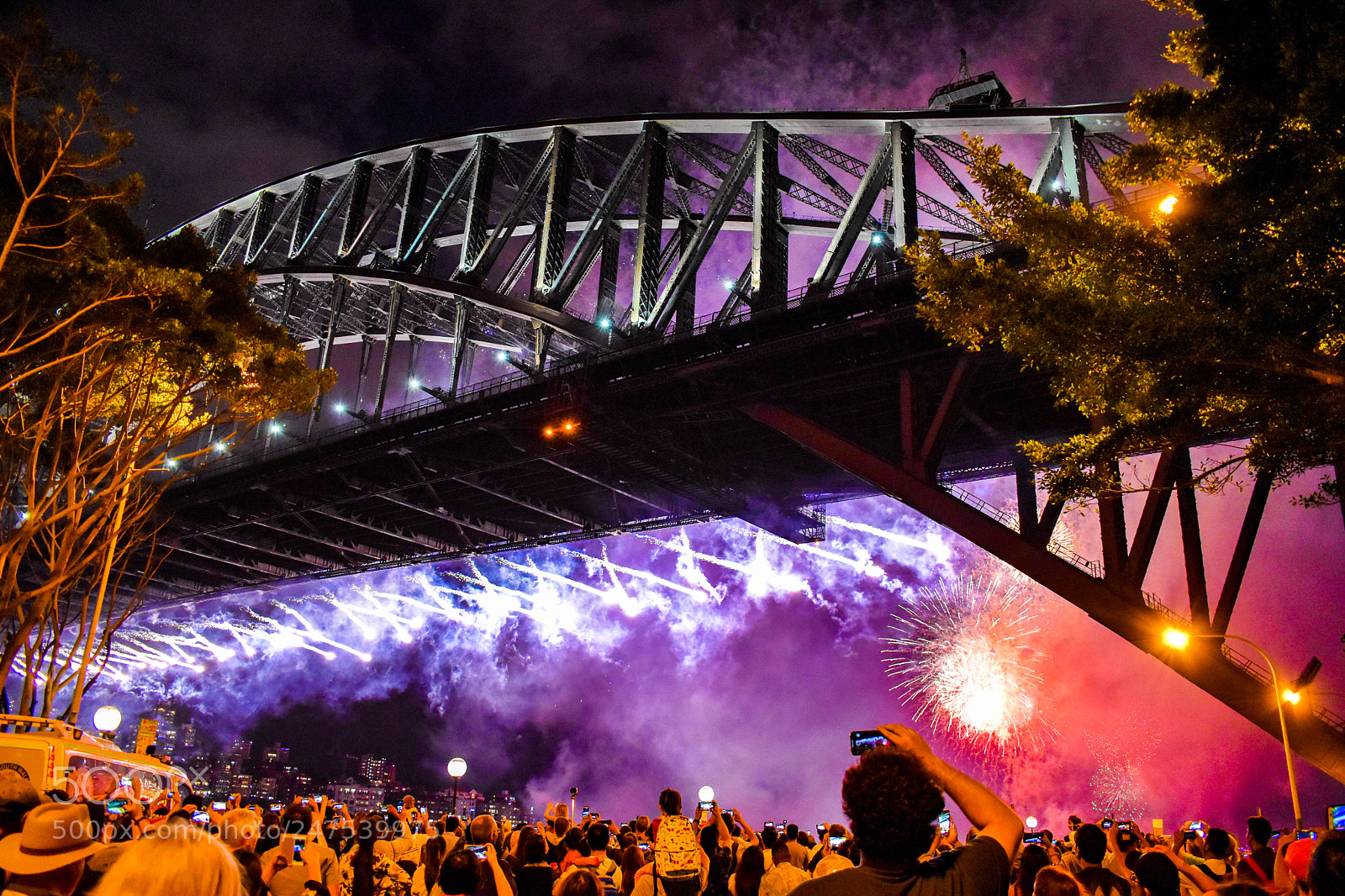 Nikon D5600 sample photo. Sydney harbour bridge photography