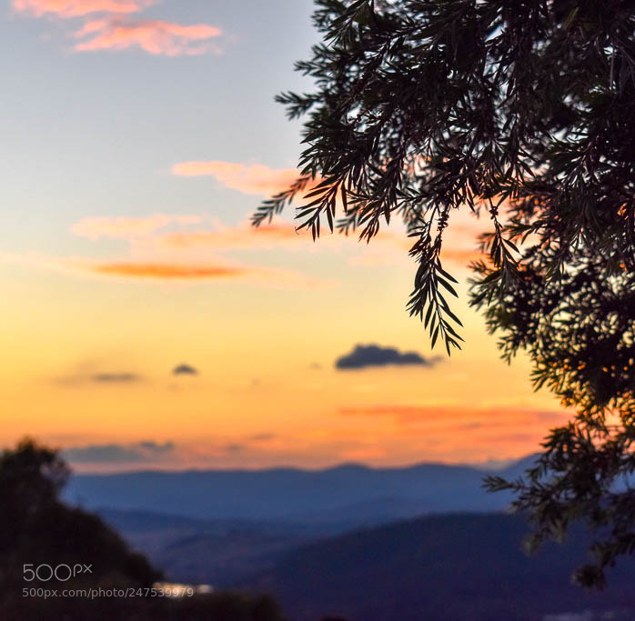 Nikon D5600 sample photo. Mt. ainslie photography