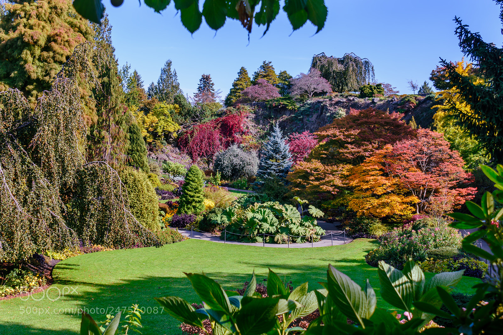 Nikon D810 sample photo. Arboretum with colorful trees photography