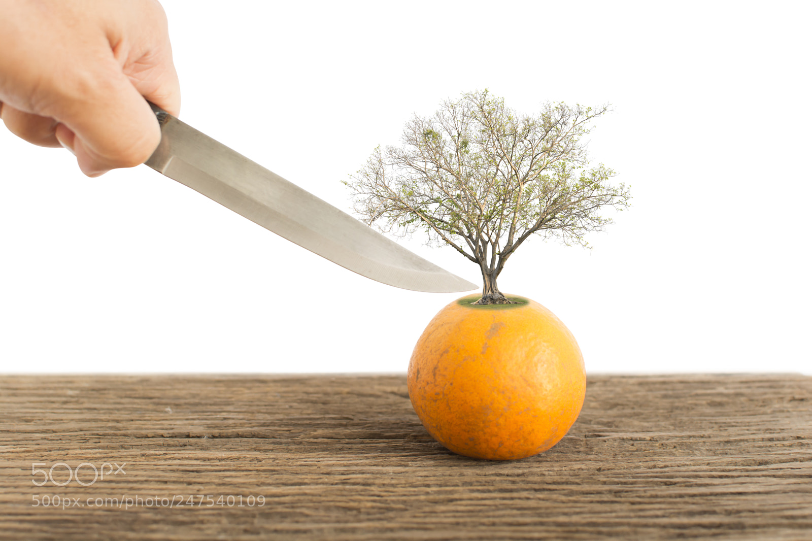 Nikon D5200 sample photo. Orange fruit on old photography