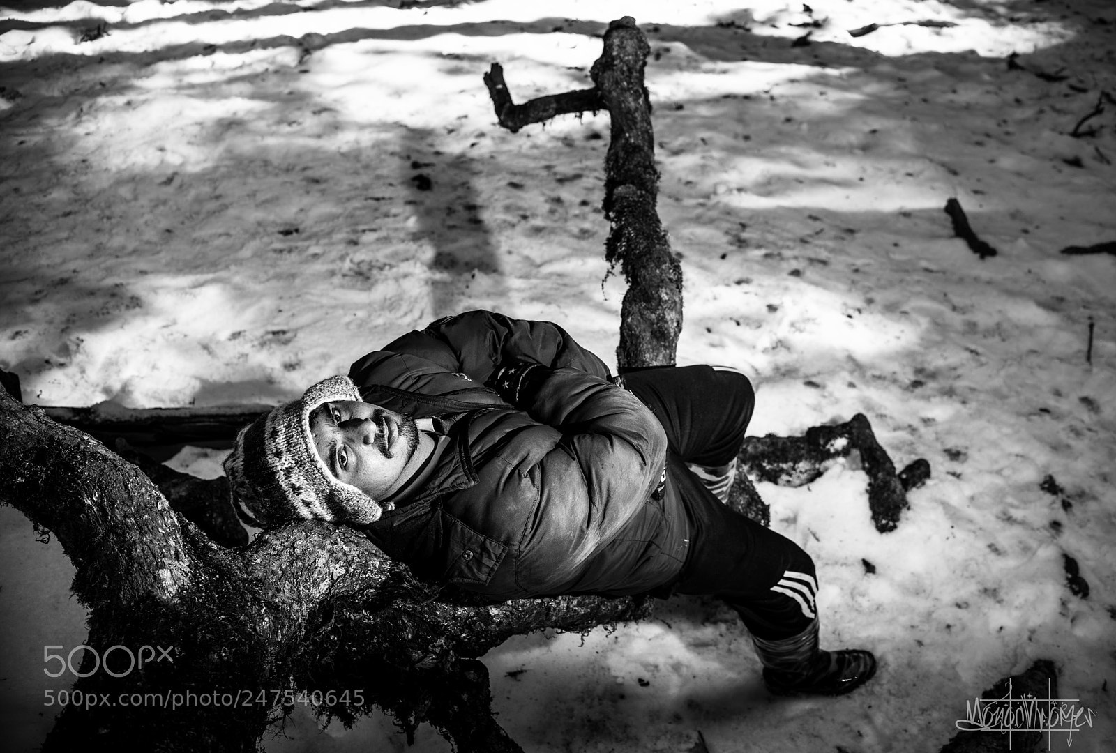 Nikon D810 sample photo. Rest photography