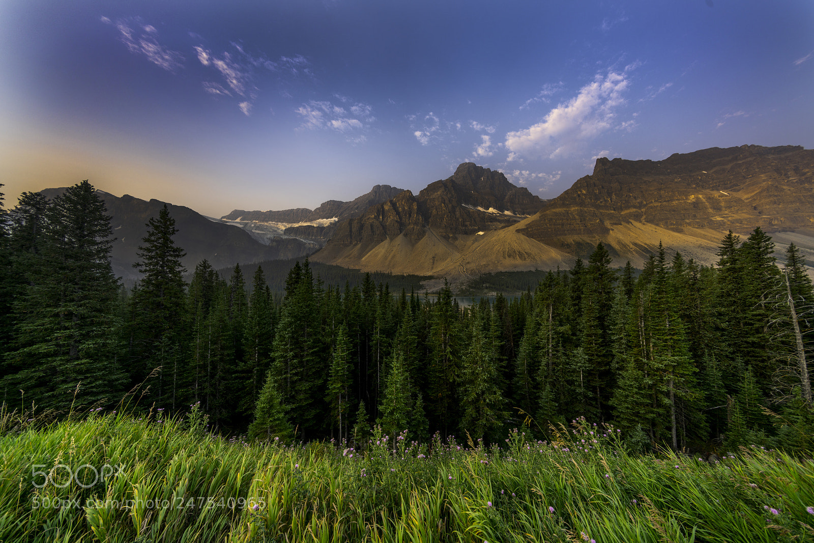 Sony a7R II sample photo. Banf national park photography