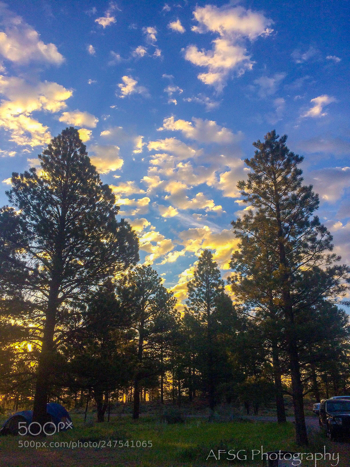 Apple iPhone 5s sample photo. Forest of clouds photography