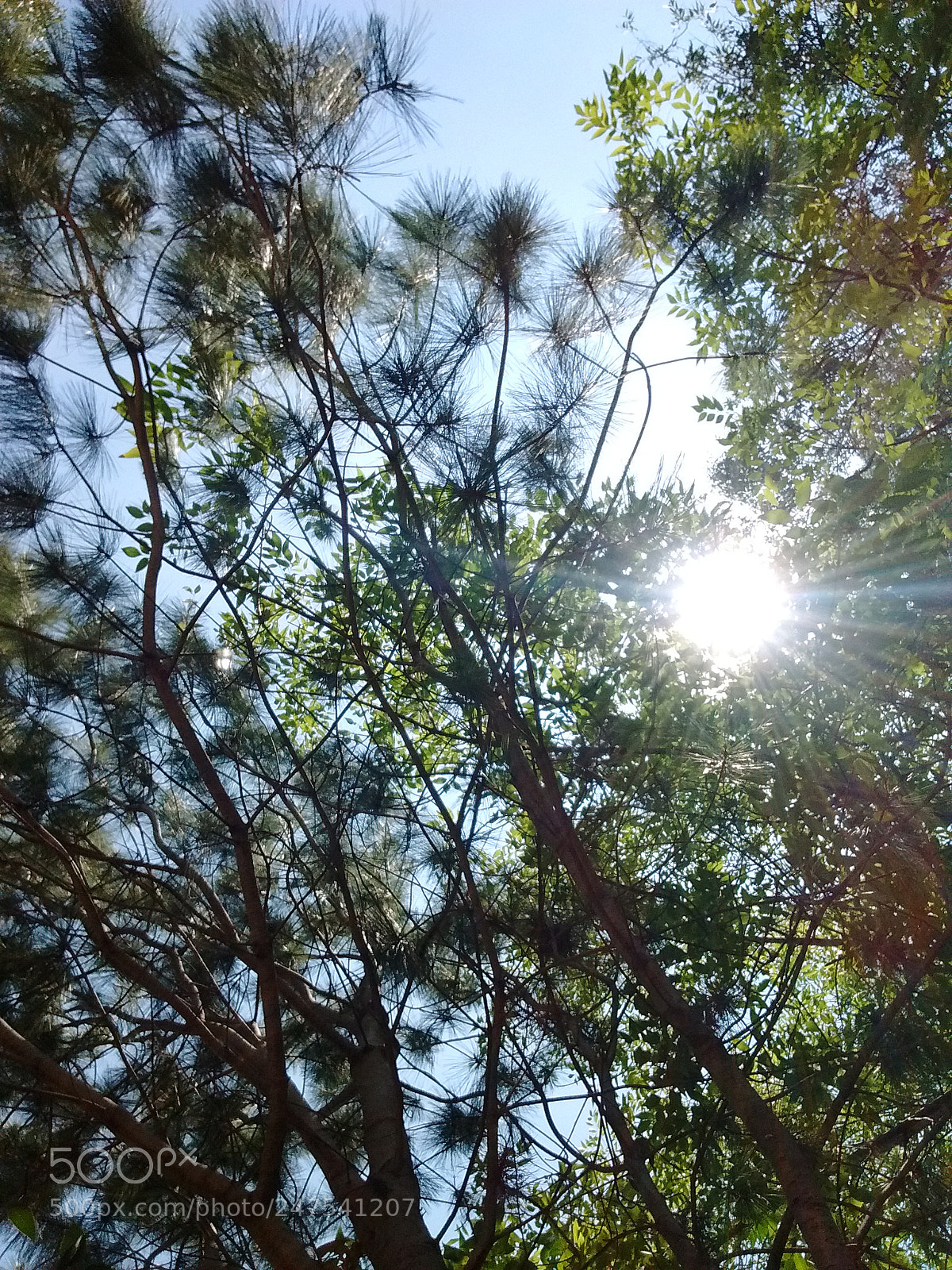 Motorola MotoG3 sample photo. Untitled photography