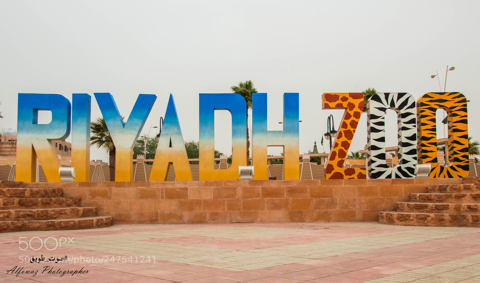 Nikon D3200 sample photo. Untitled photography
