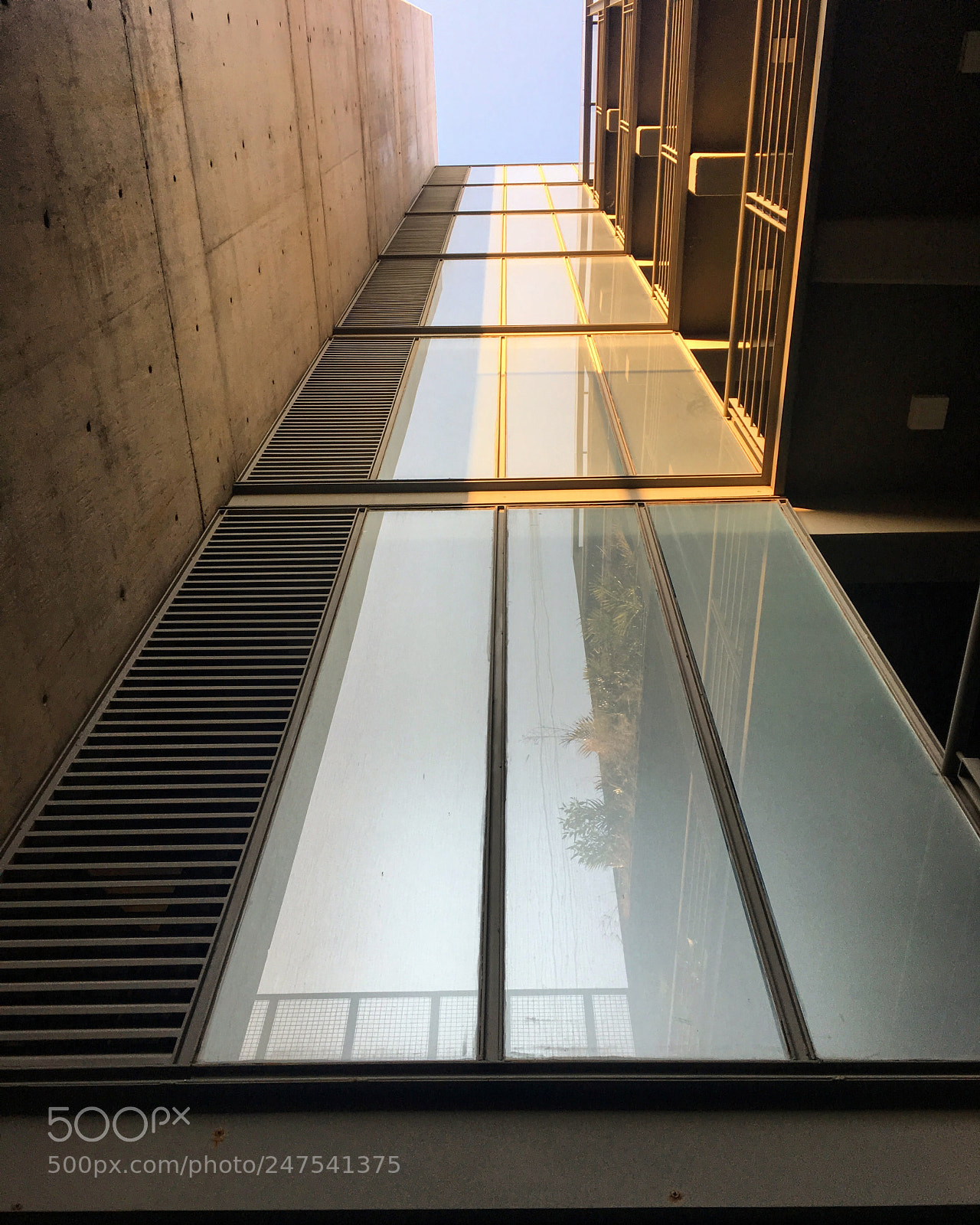 Apple iPhone 6s sample photo. Experience photography