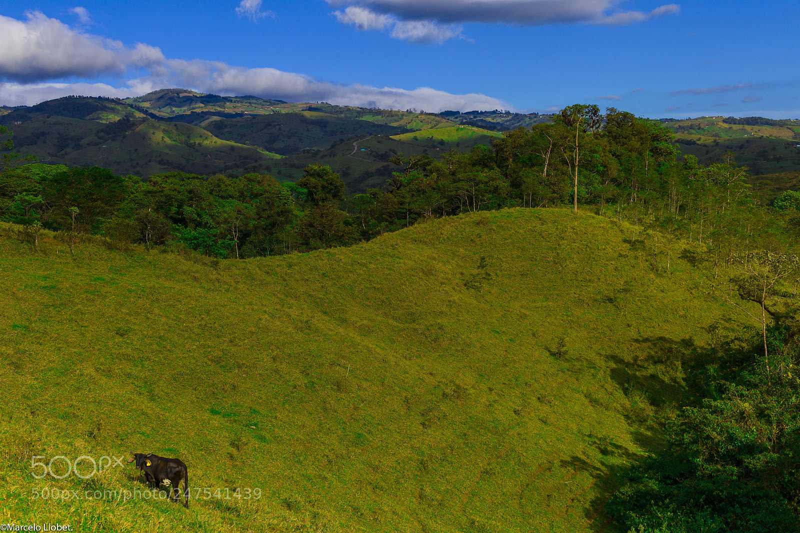Leica M9 sample photo. L1000014-villa blanca, costa rica photography