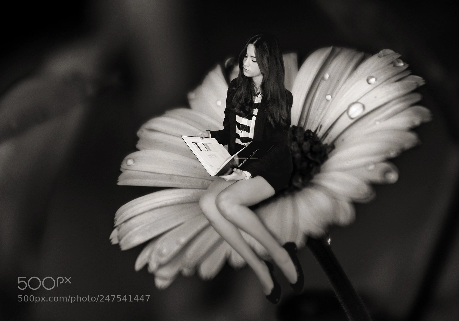 Nikon D810 sample photo. Space of her own.. photography