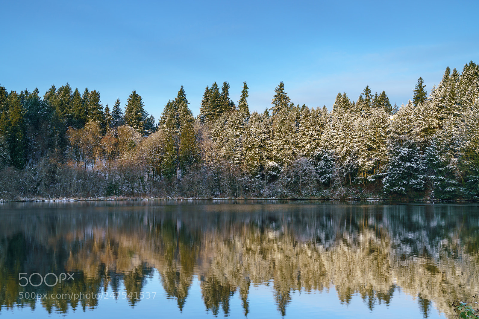 Sony a7R II sample photo. Snow along percival cove photography