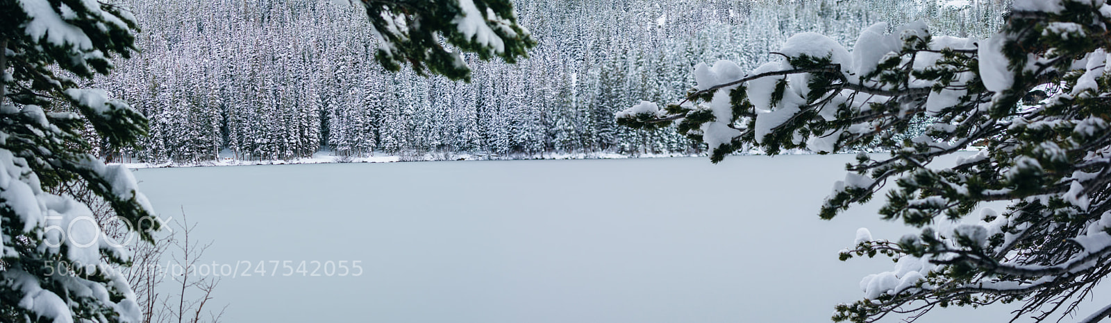 Nikon D7100 sample photo. Bear lake photos photography