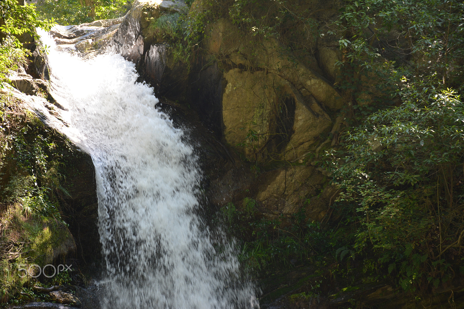 Nikon D5200 sample photo. My clicks photography