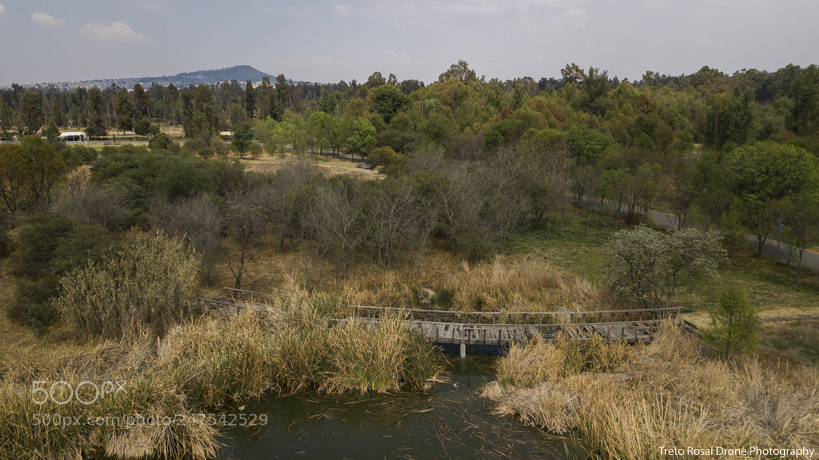 DJI FC220 sample photo. Old wooden bridge in photography